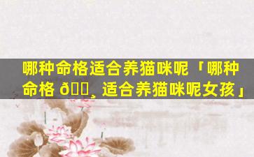 哪种命格适合养猫咪呢「哪种命格 🕸 适合养猫咪呢女孩」